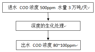 污水廠COD超標現(xiàn)場