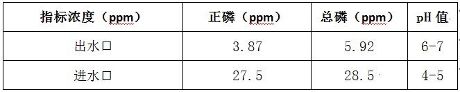 豆制品除磷的濃度檢測