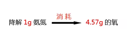 氨氮降解所需氧的比值_希潔環(huán)保